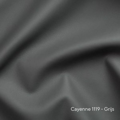 Cayenne 1119 - Grijs