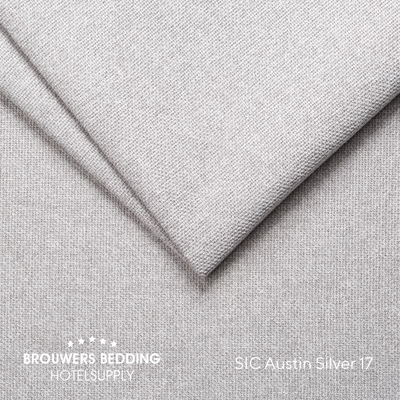 Austin 17 - Silver